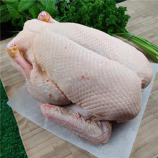Duck - Whole