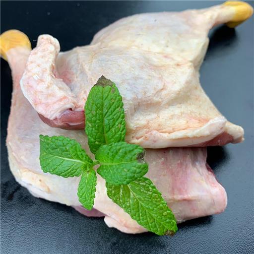 Duck Leg