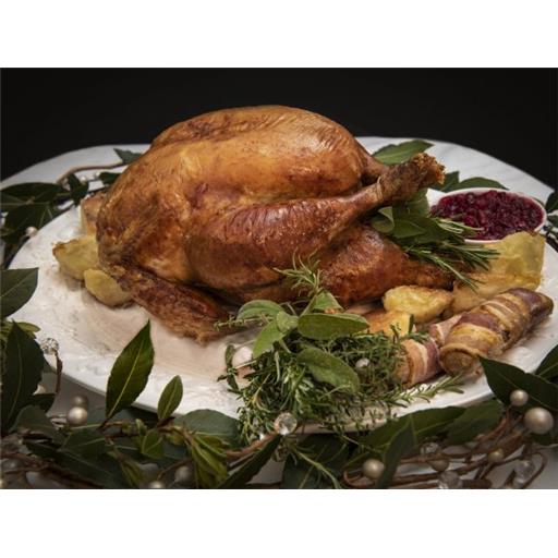 Turkey - Bronze (4.kg- 7.5kg )