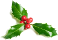 holly